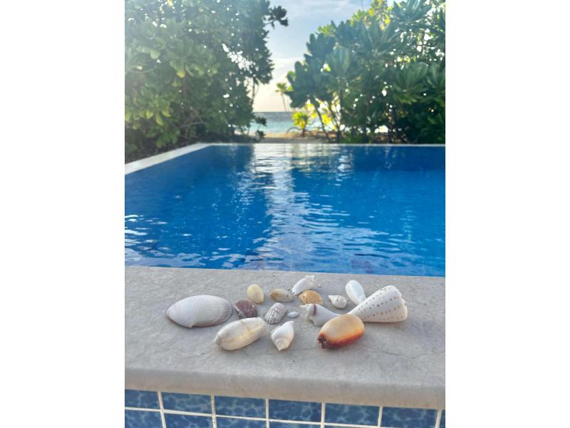 ライフガードのお兄さんが初日に貝殻をくれました♪ バルコニーやお部屋に飾って、滞在中たくさん楽しみました。モルディブから貝殻や砂の持ち出すことは、法律で禁止されています。滞在中に楽しんでくださいね♪