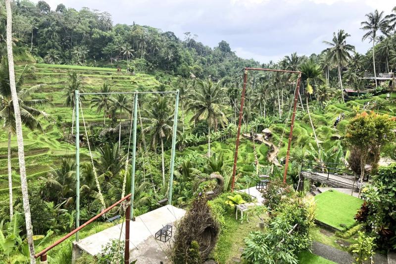 あいにくの曇り空でしたが、ウブドのライステラスの一面の緑に圧倒され、ウブドらしさが感じられました。ツアーのランチもおいしかったです