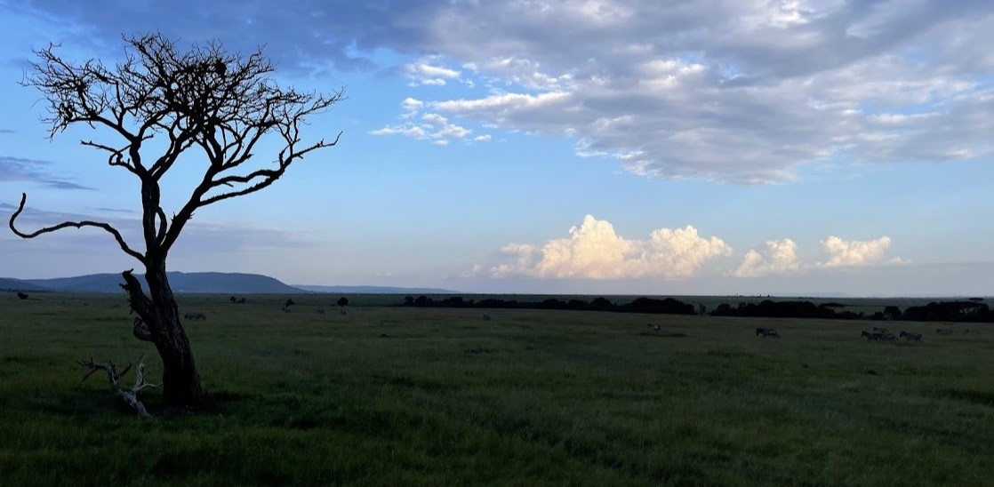 Masai Mara REPORT|マサイマラ 視察ブログ