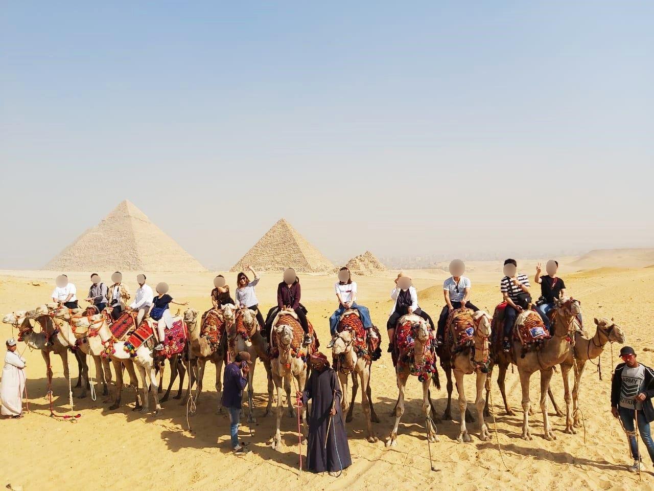 EGYPT REPORT|エジプト 視察ブログ