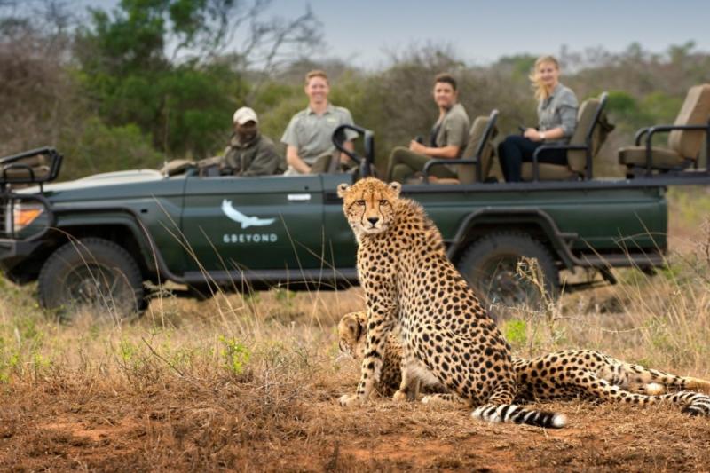 ゲームドライブ