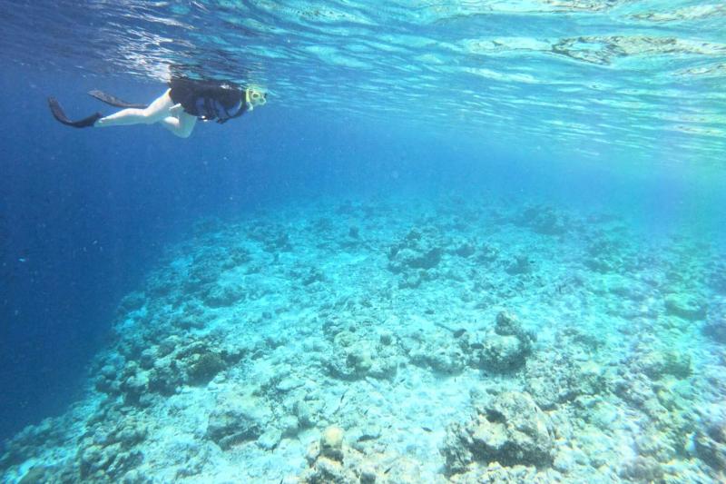 水族館の中を泳いでると錯覚するドロップオフ