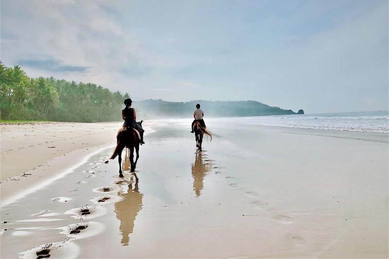 体験したアクティビティのひとつ「砂浜での乗馬体験」