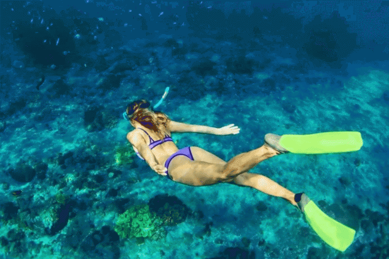 シュノーケリング（イメージ）