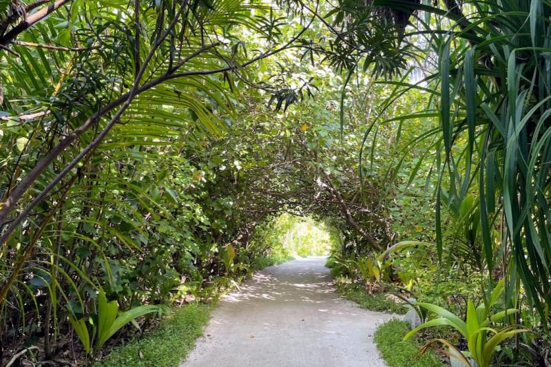 お部屋に向かいます