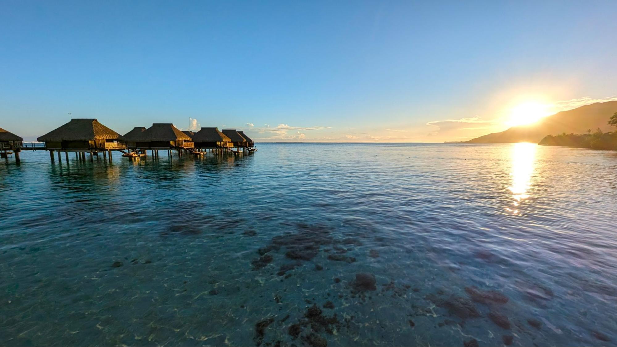 Moorea REPORT|モーレア島 視察ブログ