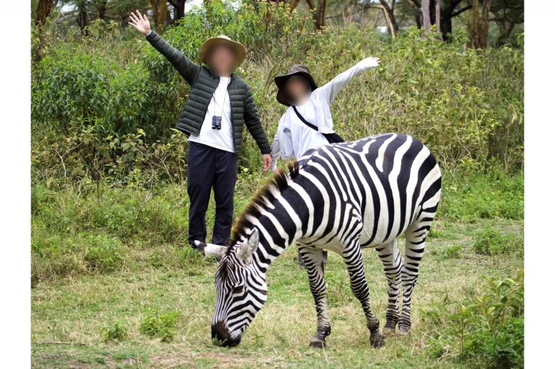 ウォーキングサファリ