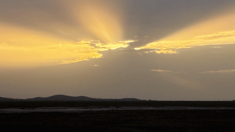 ケニアの広大な景色