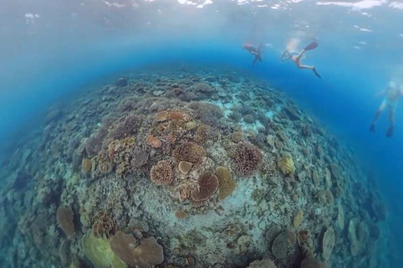 美しいサンゴ礁でシュノーケリング体験