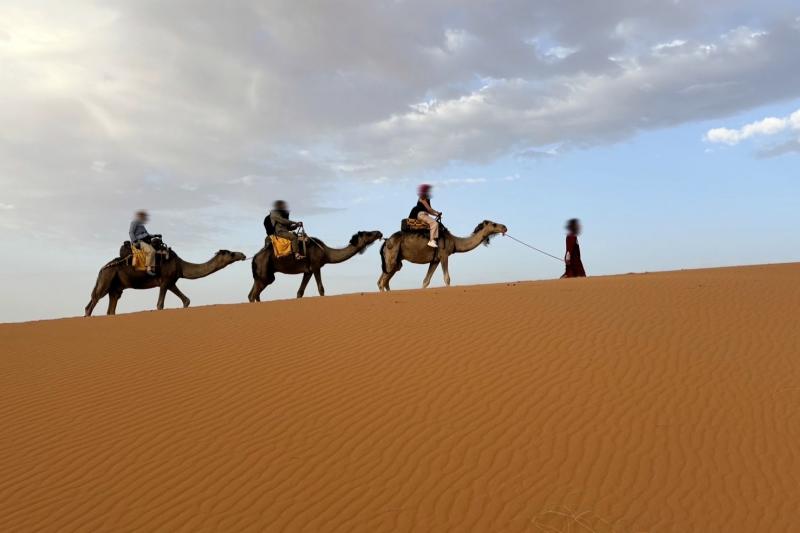 朝のサハラ砂漠にてラクダに乗ってトレッキング。朝日を見た帰りは少し余裕。広大な砂漠、風紋の美しさに感動！