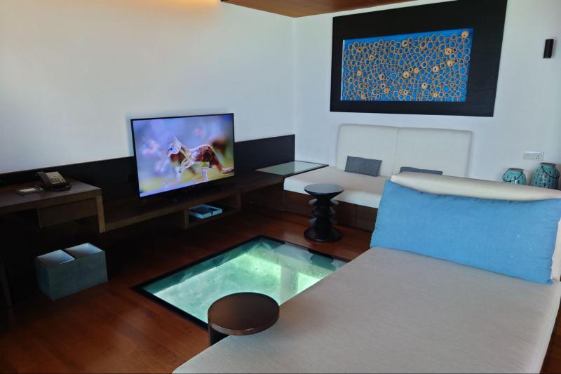 ガラス床からお魚が楽しめます