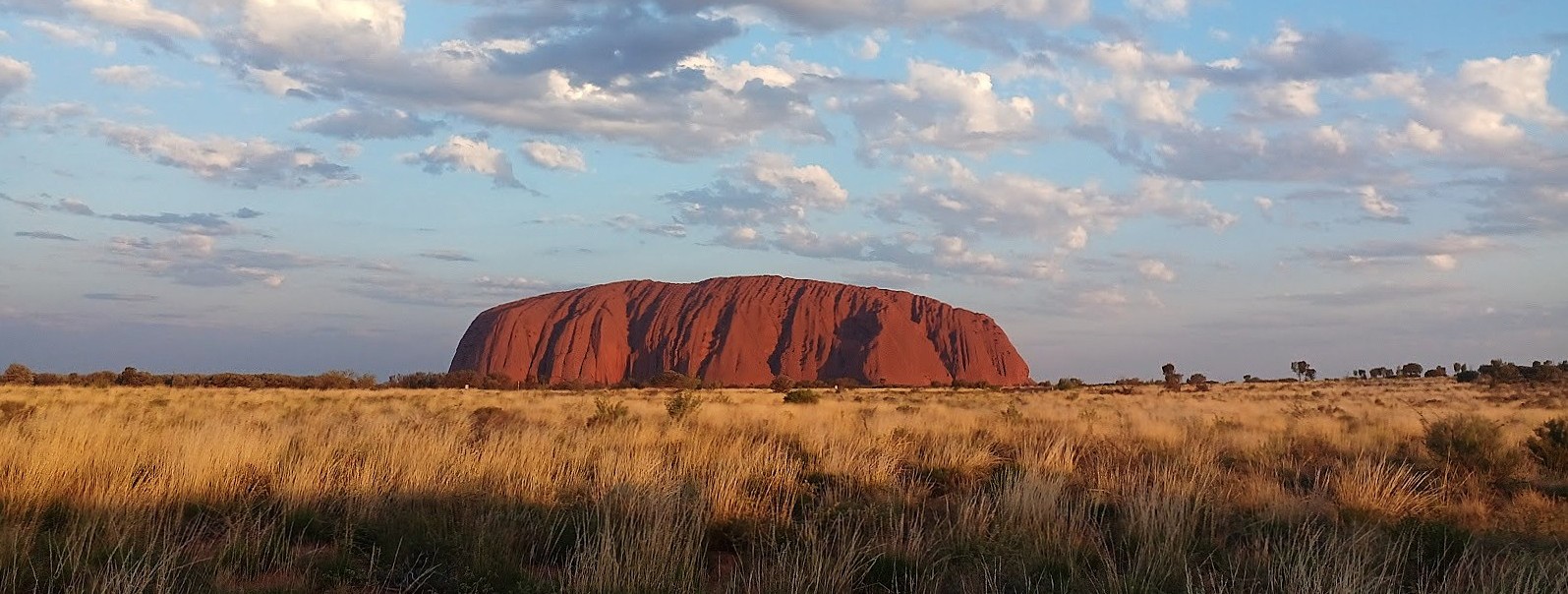 AUSTRALIA REPORT|オーストラリア 視察ブログ