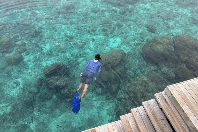 本当にすぐ目の前が海なので、いつでも泳ぐことができ、たくさんのかわいいお魚たちに出会えます
