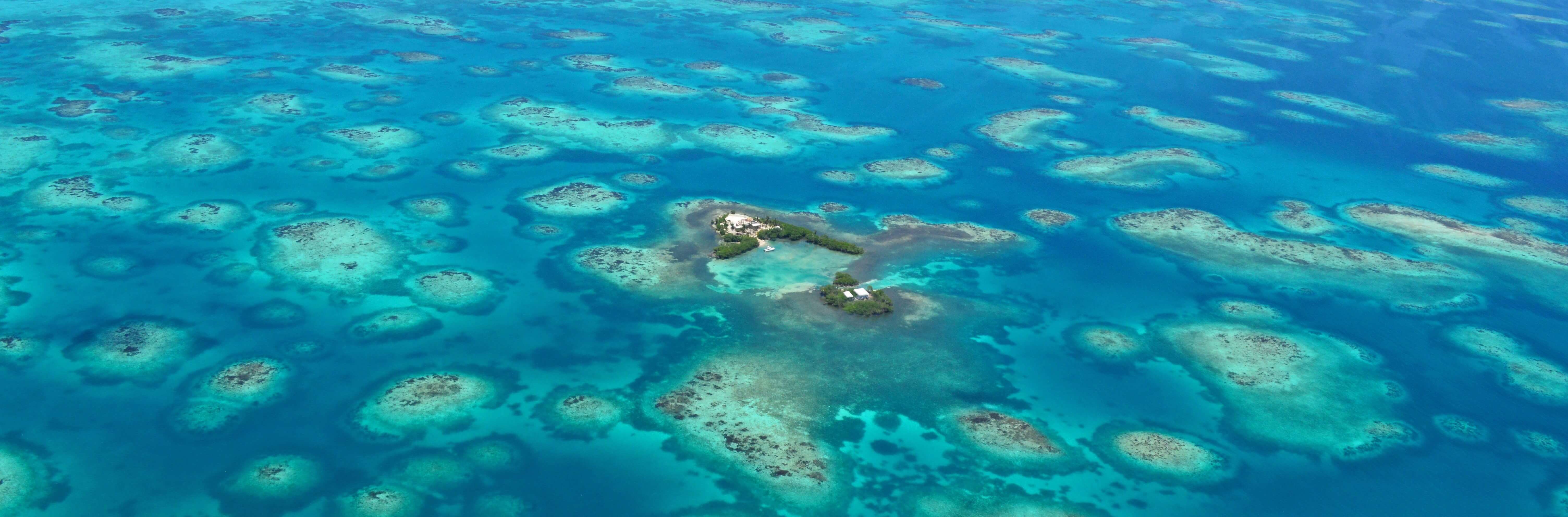 Belize Barrier Reef Reserve|バリアリーフ保護区