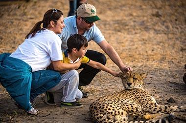 シュクドゥ ゲーム ロッジ（南アフリカ）クルーガー国立公園に隣接する私営保護区内にあるサファリロッジ。ビック5と呼ばれる野生動物のサファリが楽しめるのはもちろん、ここがユニークなのは、孤児となった動物を育てて自然に戻すリハビリプロジェクトを行っていること。そのため保護しているチーターと触れ合ったり、お散歩したりもできます。※注意：チーターのご機嫌によりできないこともあります。《❷》