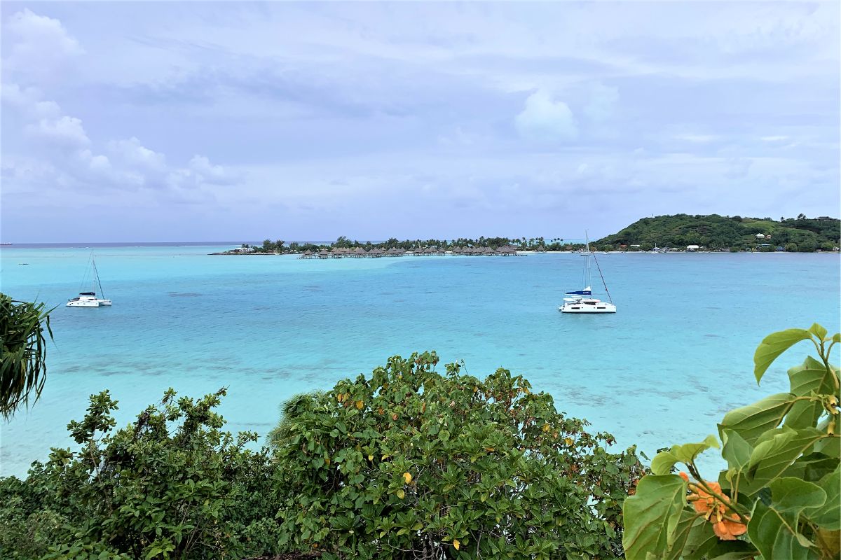 Bora Bora REPORT|ボラボラ島 視察ブログ