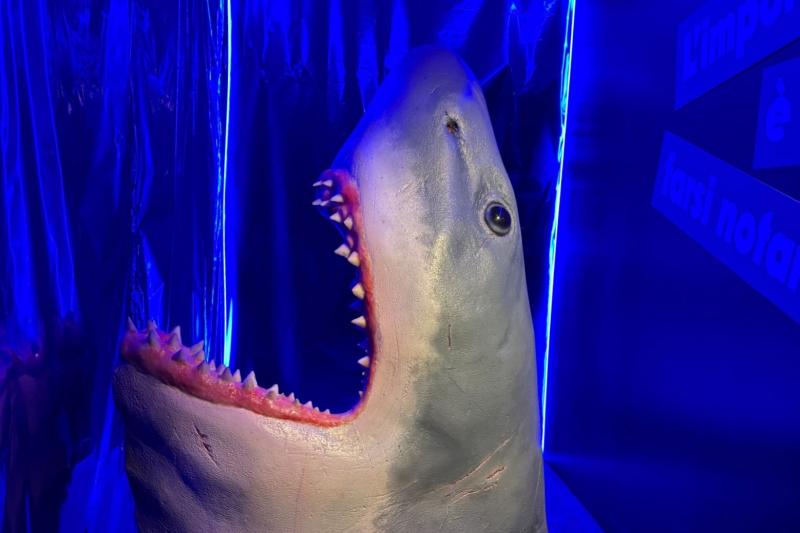 ジョーズの展示！ 古い映画から最近の映画、幅広いジャンルの取り扱いがあり、全く飽きずに楽しめました！