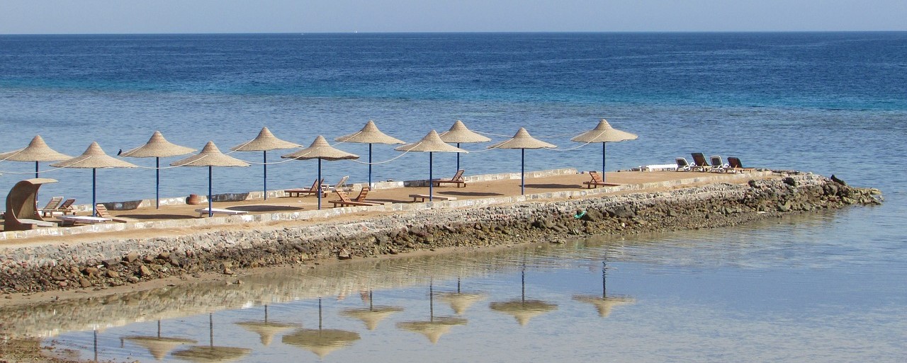 Red Sea REPORT|紅海沿岸 視察ブログ
