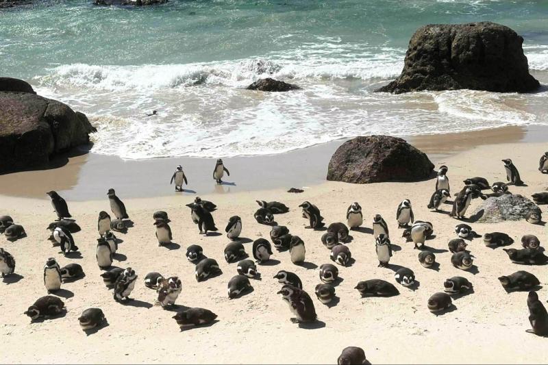 ボルダーズビーチ