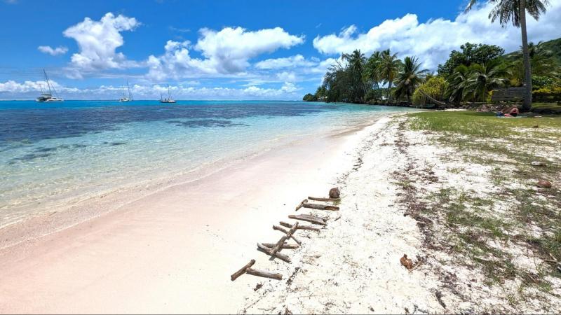 広々したビーチで流木でTAHITIを♪