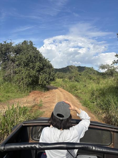 ジープサファリでは、涼しくなるにつれてゾウが現れ出して大興奮！