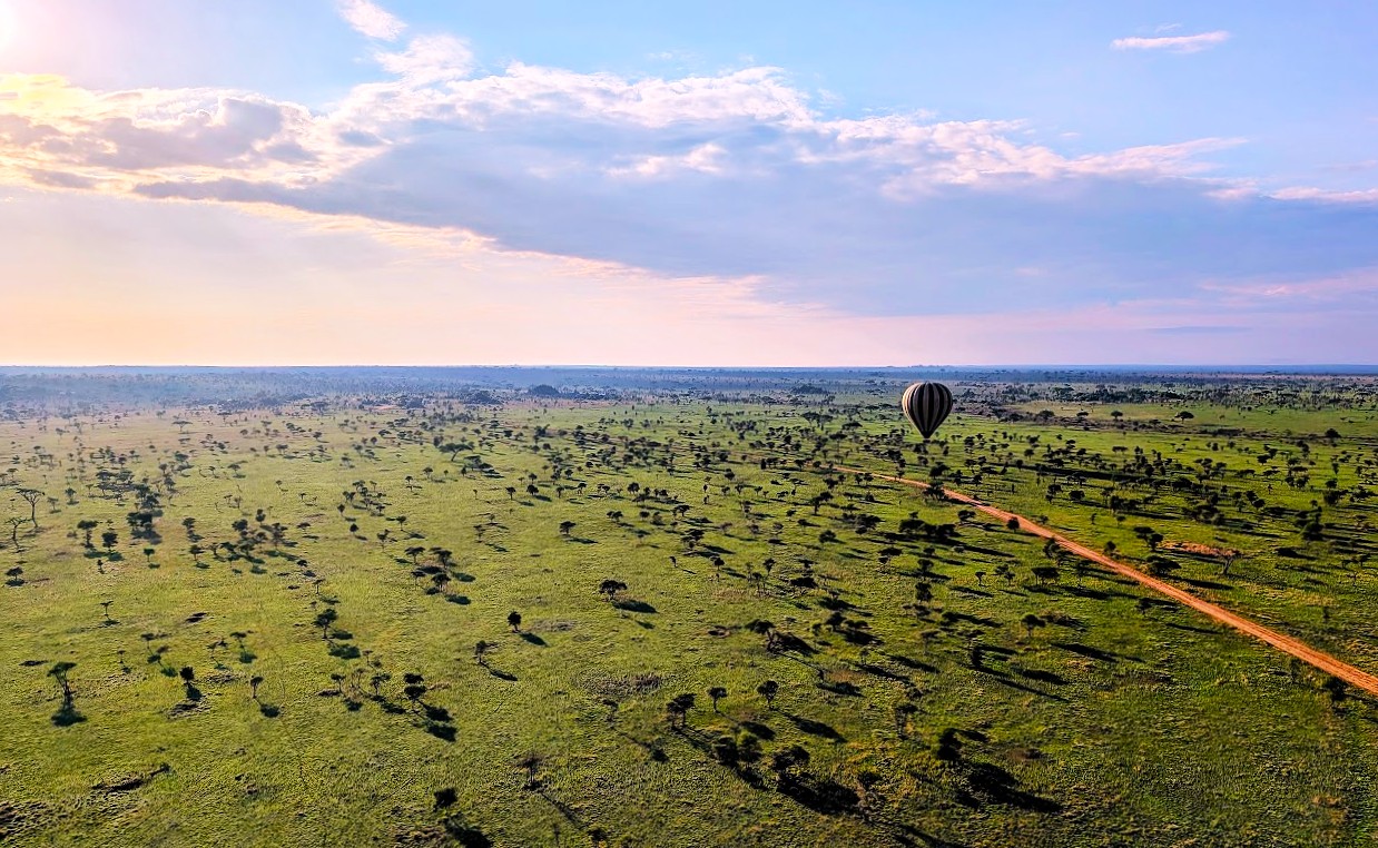 Serengeti REPORT|セレンゲティ 視察ブログ