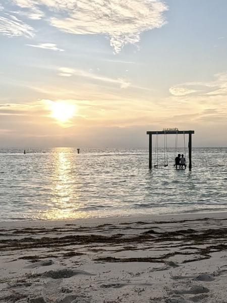 海の上のブランコ