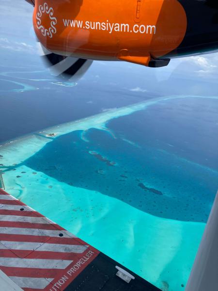 水上飛行機から見た海