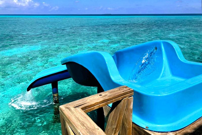 11部屋にこのようなスライダーがあり、透明な海にザブーン！ スイッチをONすると水が流れます