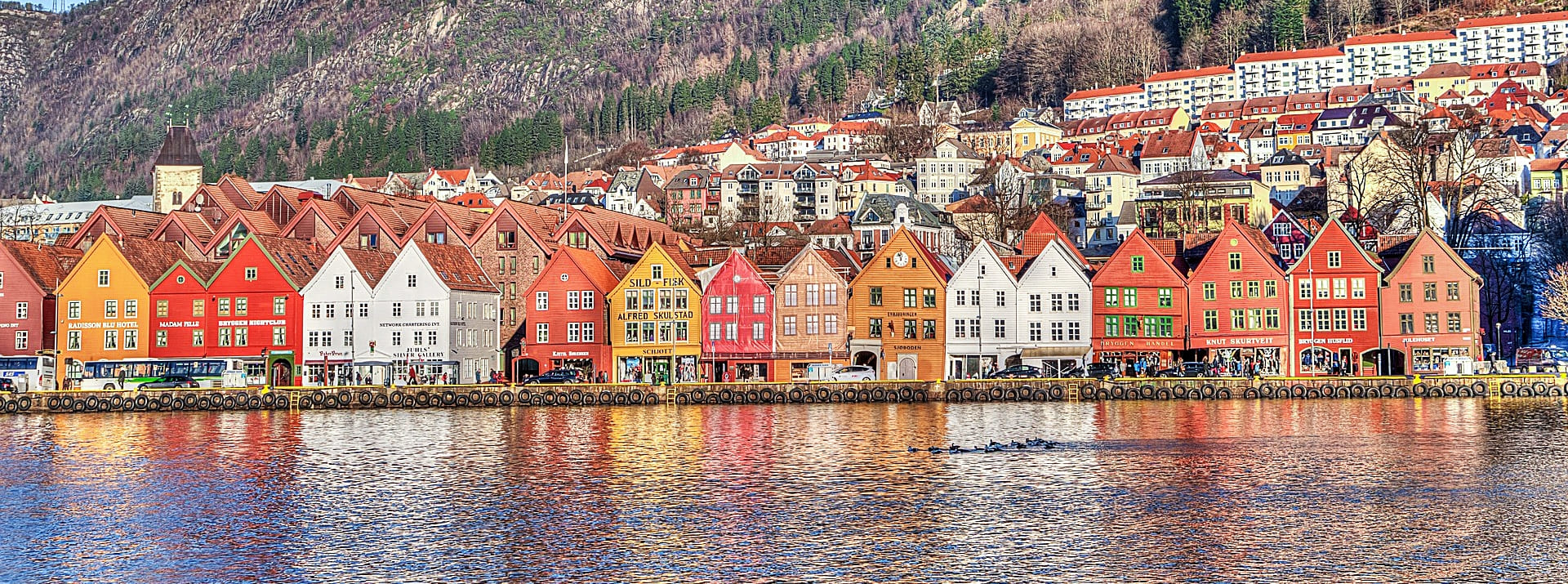 Bergen CRUISE|ベルゲン クルーズ