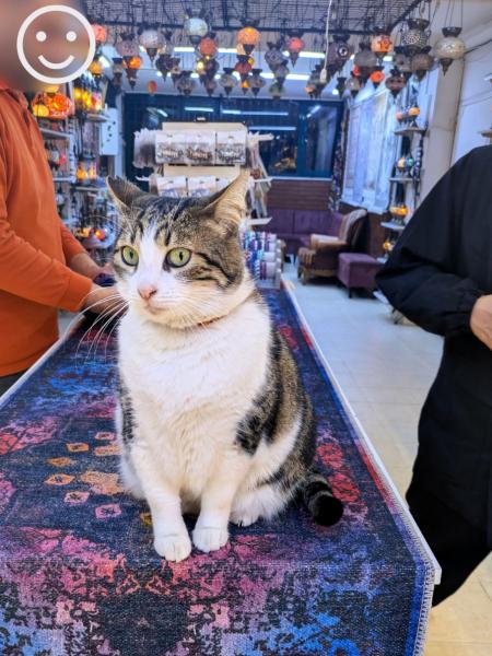 トルコ絨毯屋さんのビッグボス（笑）