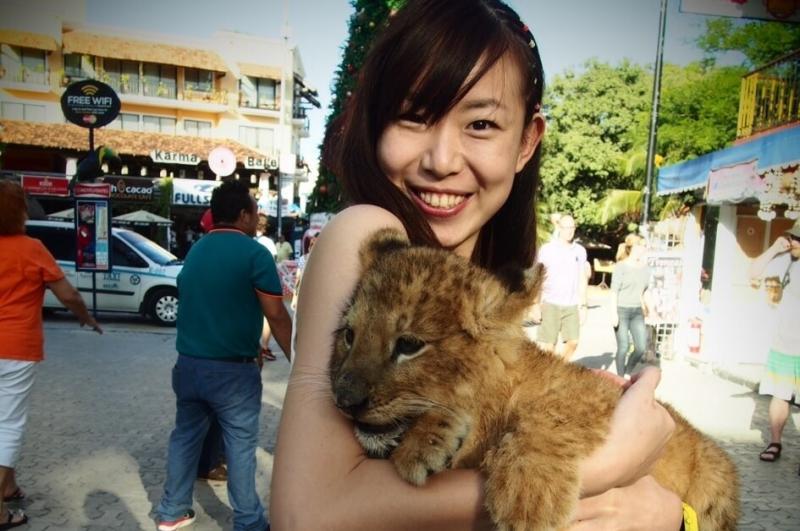 プラヤデルカルメンにてライオンの赤ちゃんを抱きました。