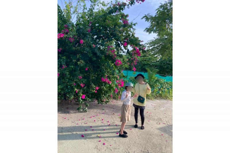 朝と夕方限られた時間しか空いていない牧場で、鮮やかな花が咲いていました。馬や山羊やオウムがいて可愛かったので、朝散歩が充実しました。