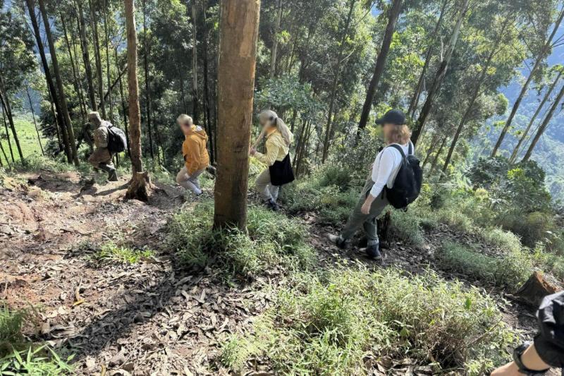このような山道を進みます