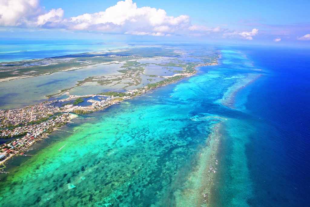 Belize Barrier Reef Reserve TOPIC|バリアリーフ保護区 トピックス