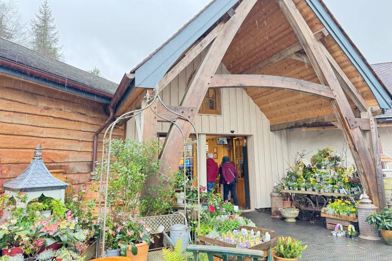 色とりどりの植物がお出迎え