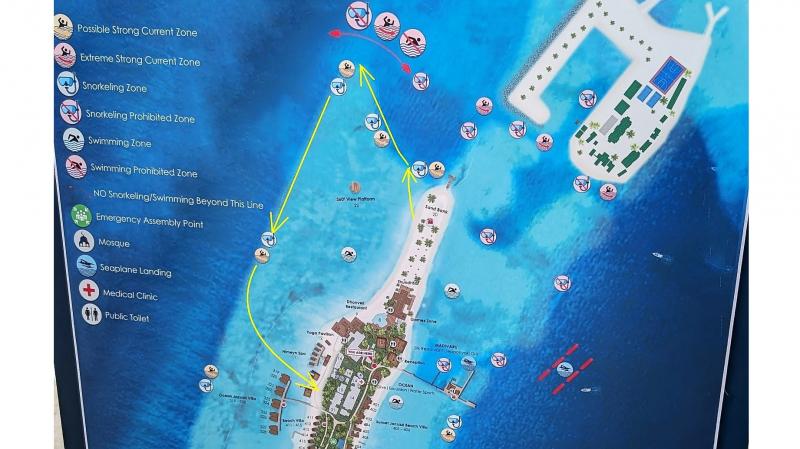 黄色のラインが今回のシュノーケリングコースです