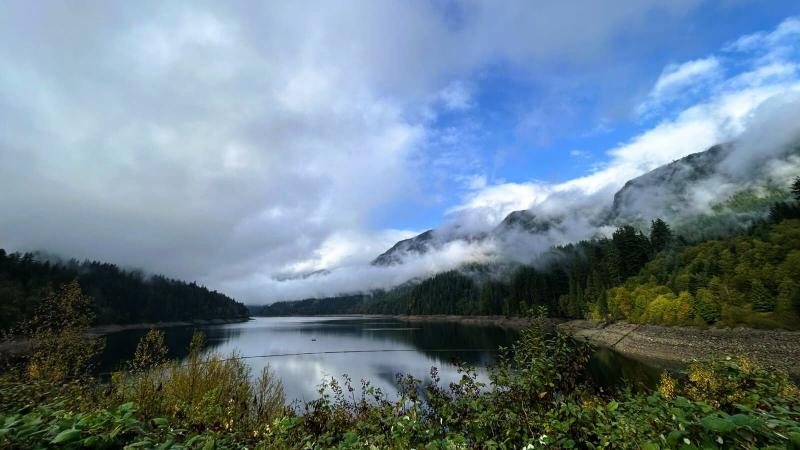 雨の後の森の中。すごく神秘的でマイナスイオンをこれでもかと浴びた気がします！