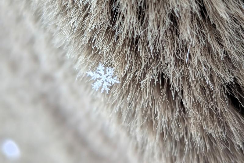 雪の結晶がこんなにきれいに！