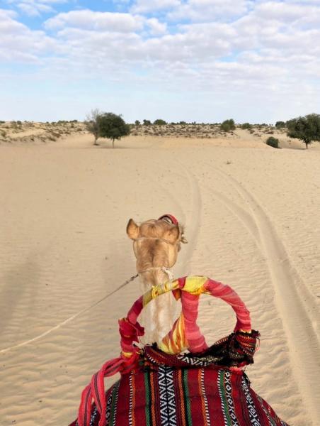 ラクダに乗って砂漠を優雅に散歩♪（ドバイの砂漠ホテルにて）