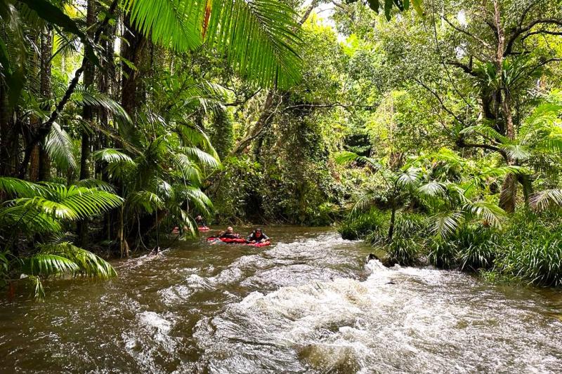 世界遺産で世界最古の熱帯雨林の森を流れる、モスマン川でのスリリングなリバーラフティング