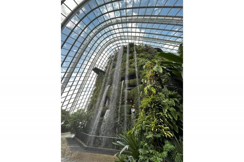 観葉植物が好きで40種近く家で育ててる私には、屋内ドームのクラウドフォレストは楽園のような場所でした！