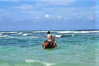 お馬さんと一緒に海の中へ！