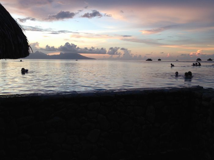 Tahiti / Papeete REPORT|タヒチ島（パペーテ） 視察ブログ