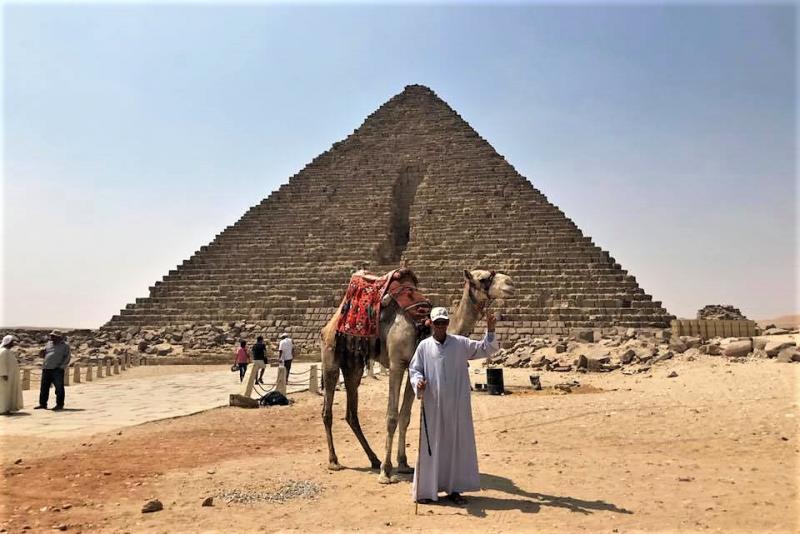 こちらではラクダにも乗れます。ピラミッドを背景にしたお写真はまさに“ザ・エジプト”ですね