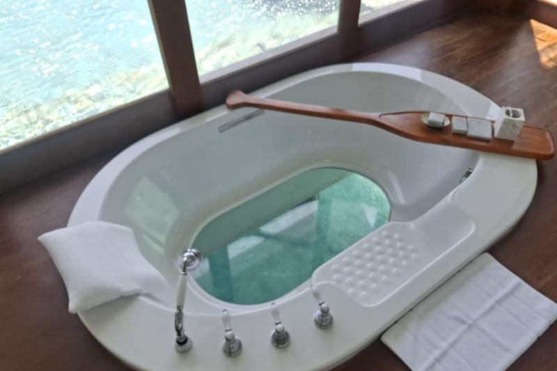 バスタブの底が透明で、海の中が見れます