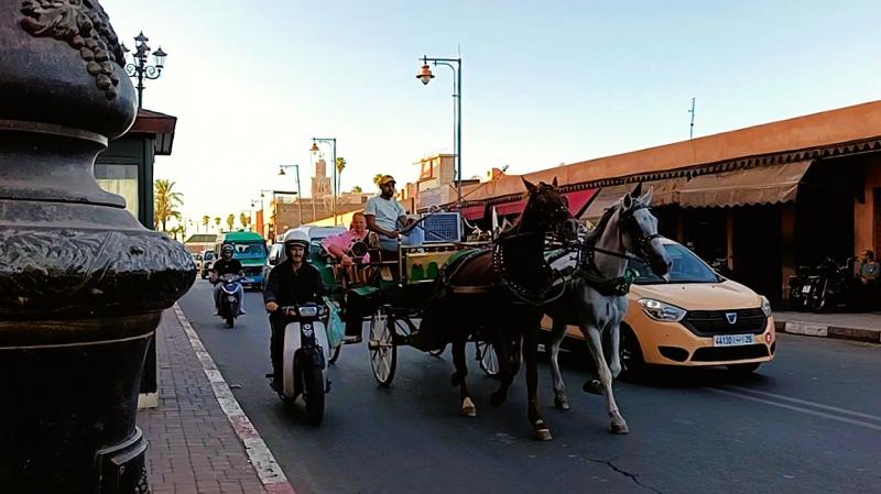 ラ スルタナ マラケシュの近くの様子