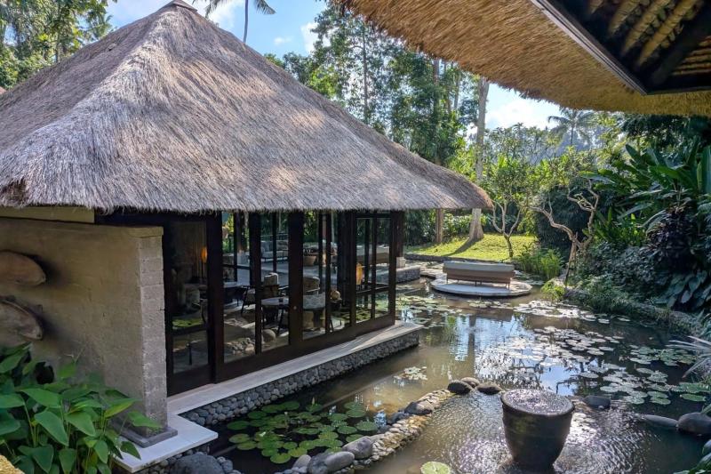 緑豊かなジャングルに囲まれた癒し空間