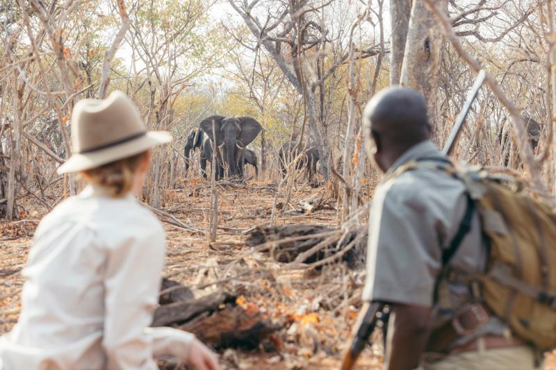 ウォーキングサファリ