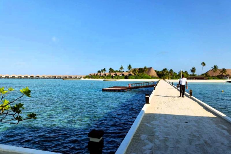 シナモン ヴェリフシ モルディブ